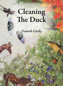 cover art of Tsaurah Litzky's Cleaning the Duck